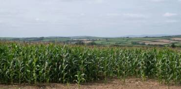 California le apuesta al agroturismo