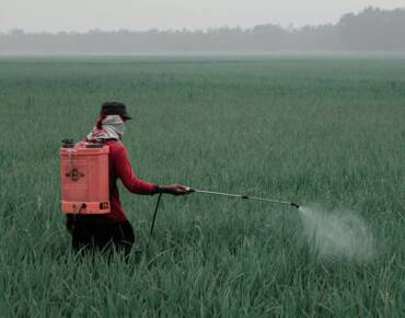 California anuncia cambios en el uso de pesticidas que comenzarán a aplicarse en 2025