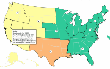 Contagios de Covid se mantienen elevados en California