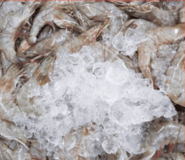 FDA alerta por posible contaminación radiactiva en camarón de Walmart