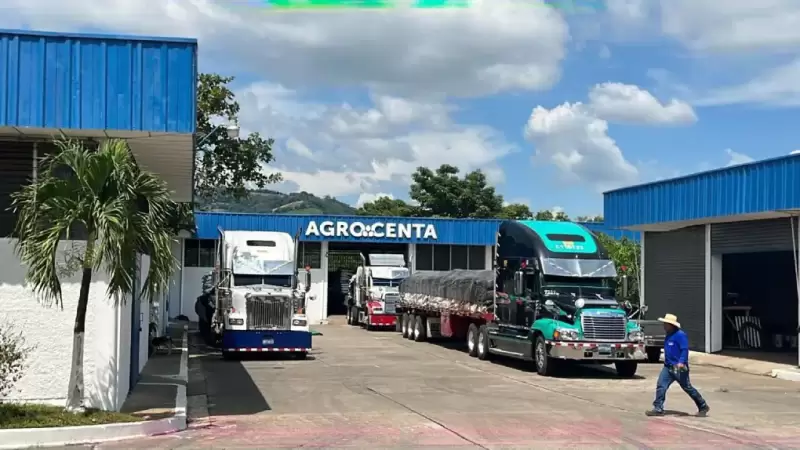 Gobierno incentivará siembra de granos básicos con insumos agrícolas a bajo costo.