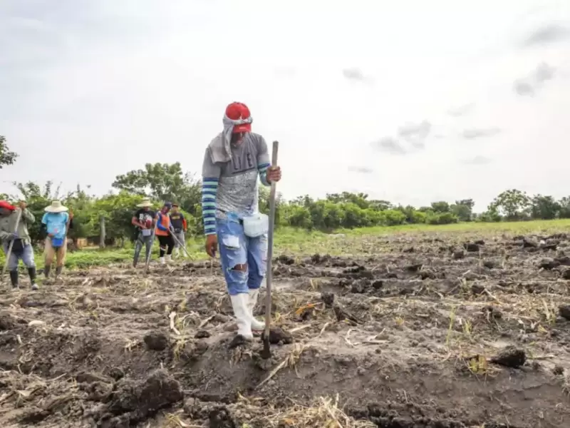 Dirigentes agropecuarios llaman a agricultores a decidir cuando iniciar las siembras, con base en su experiencia.