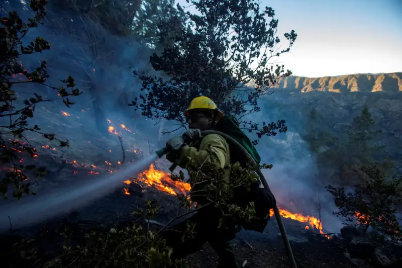 Incendios en California dejan más de 40,000 hectáreas quemadas y miles de evacuados