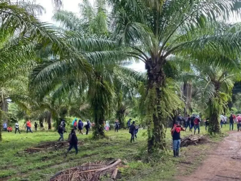 Al menos 17 personas asesinadas en finca de Colón, Honduras