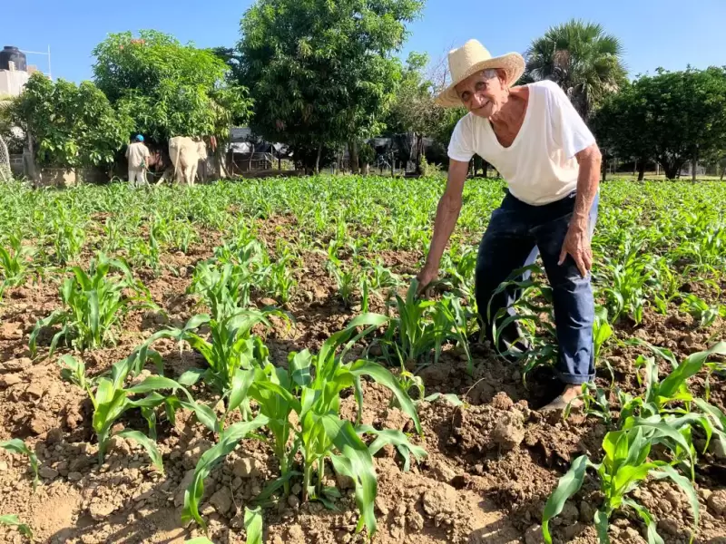 El MAG publica listado de agroservicios donde se puede canjear el bono agrícola