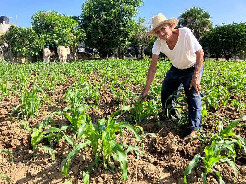 Bono agrícola en El Salvador: publican listado de agroservicios para canje