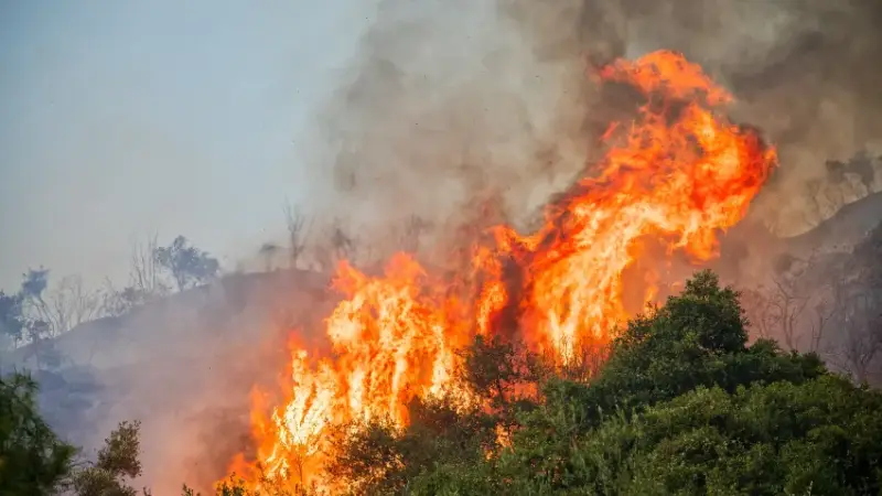 Los vientos propagan los incendios al sur de California.