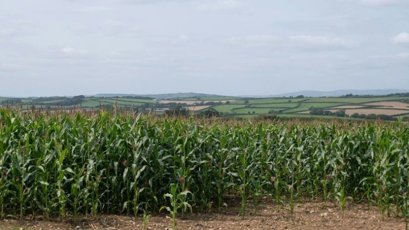 agroturismo-california