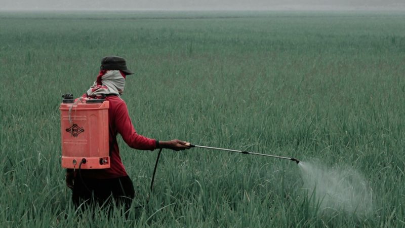 pesticidas-california-cambios-2025